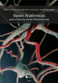 Bases anatómicas para el estudio de las neurociencias